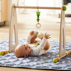 HABA Color Fun Play Gym Activity Center< Hanging Baby Toys + Mobiles