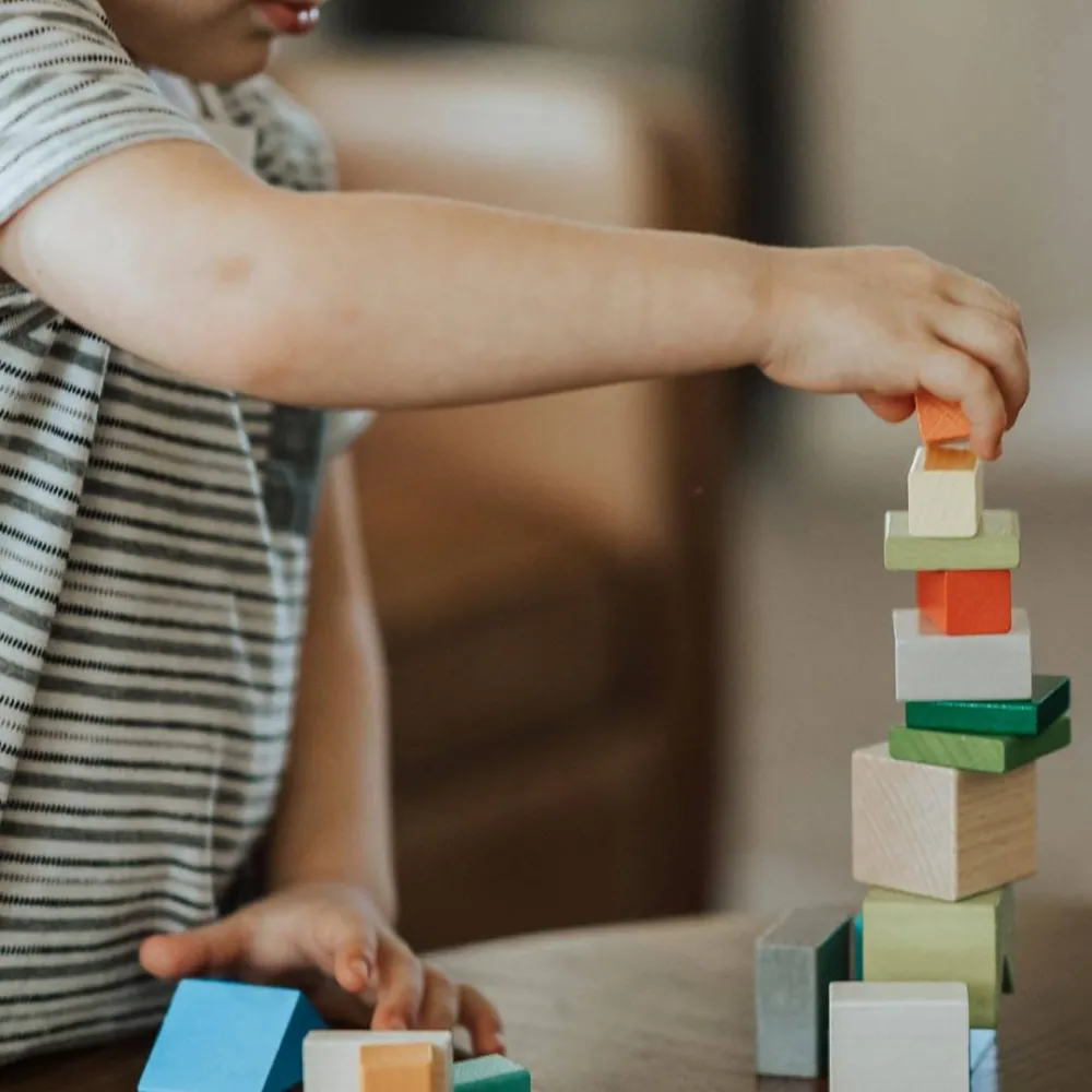 HABA Four By Four 3D Arranging Game Wooden Building Blocks< Arranging Games