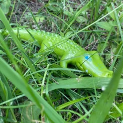 HABA Little Friends Crocodile< Little Friends Animals