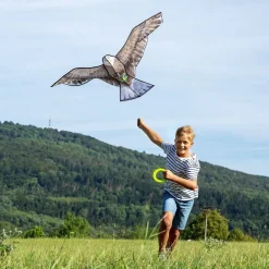 HABA Terra Kids Bald Eagle Kite< Beach & Outdoor Toys