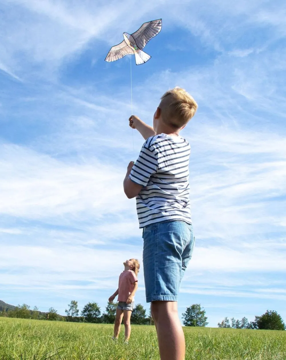 HABA Terra Kids Bald Eagle Kite< Beach & Outdoor Toys