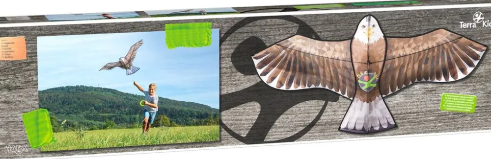 HABA Terra Kids Bald Eagle Kite< Beach & Outdoor Toys