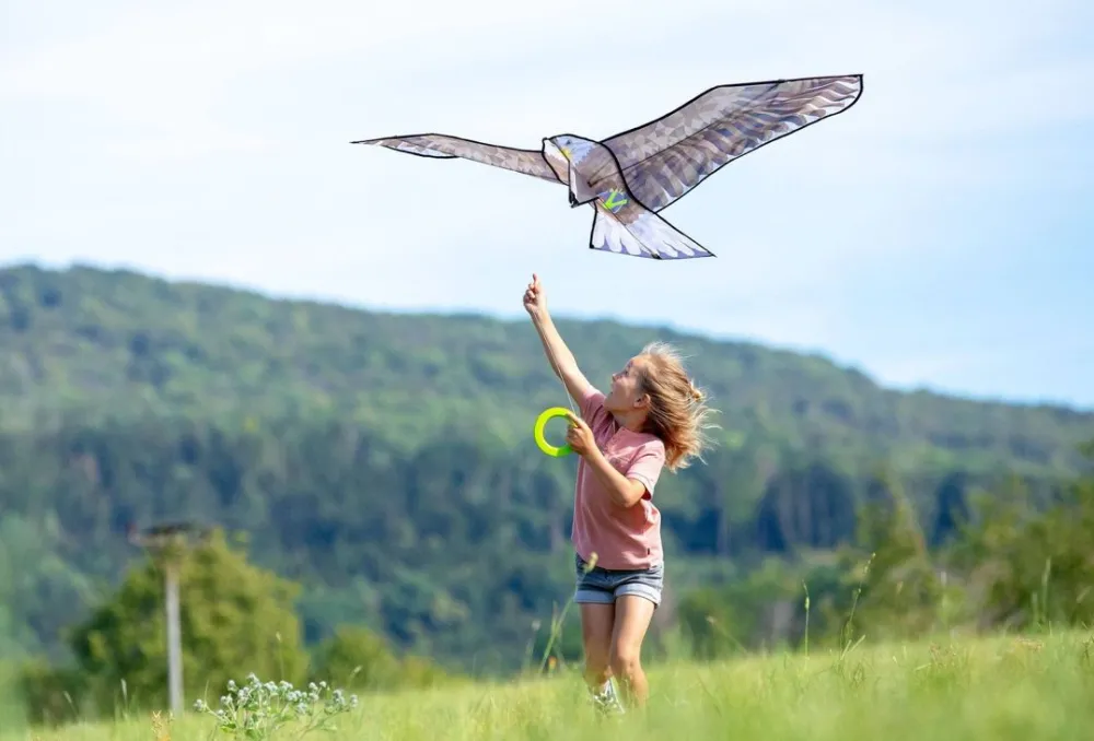 HABA Terra Kids Bald Eagle Kite< Beach & Outdoor Toys