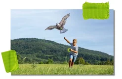 HABA Terra Kids Bald Eagle Kite< Beach & Outdoor Toys