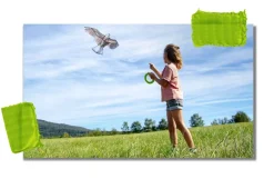 HABA Terra Kids Bald Eagle Kite< Terra Kids Nature Toys