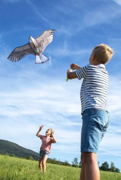 HABA Terra Kids Bald Eagle Kite< Terra Kids Nature Toys