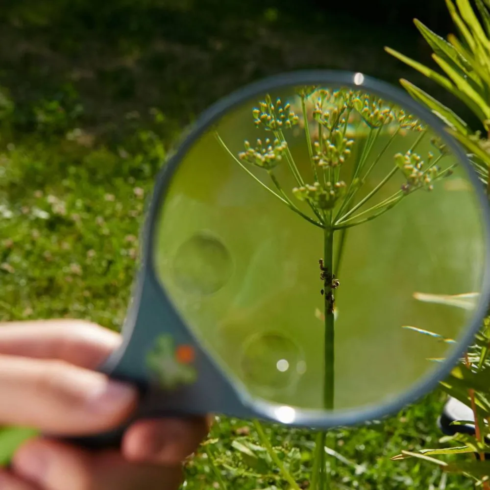 HABA Terra Kids Magnifier< Beach & Outdoor Toys