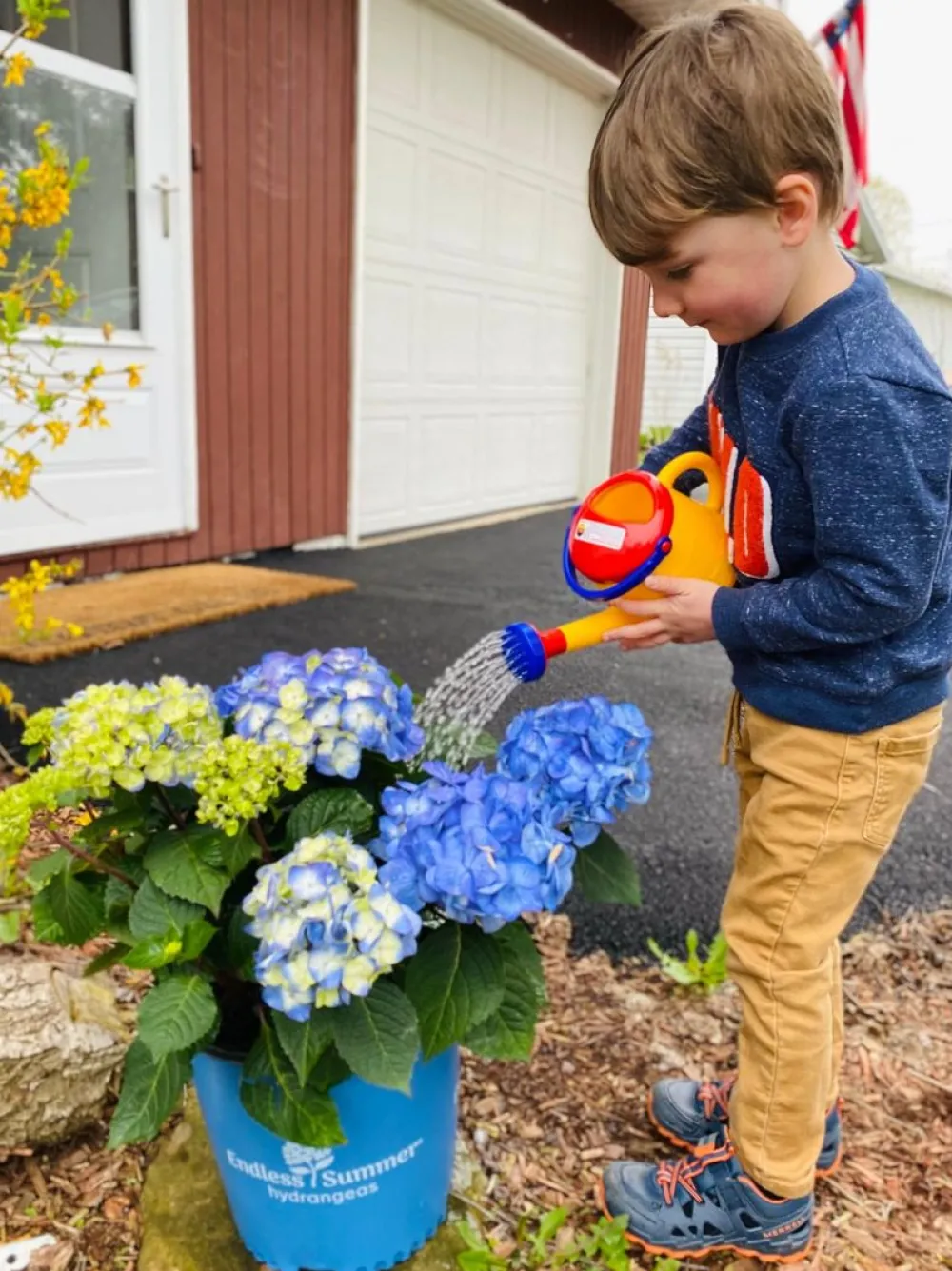 HABA Watering Can (1 Liter)< Beach & Outdoor Toys